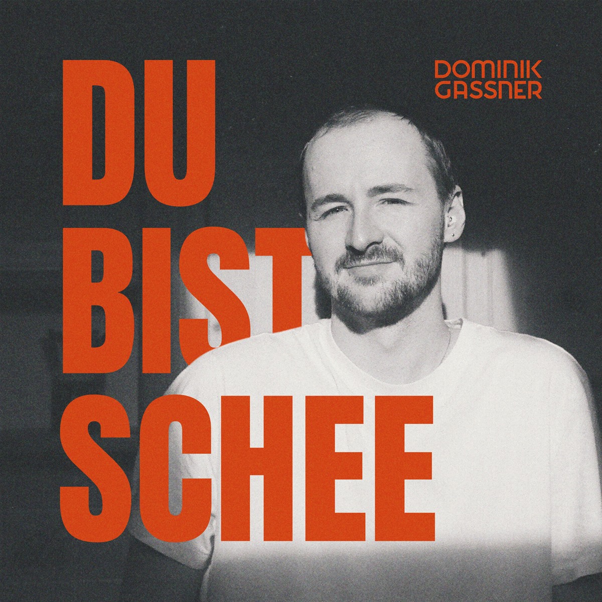 Dominik Gassner - Du bist schee
