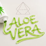 Julian Reim - Aloe Vera