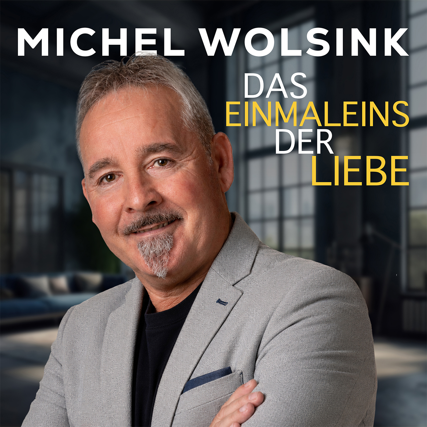Michel Wolsink - Das Einmaleins der Liebe